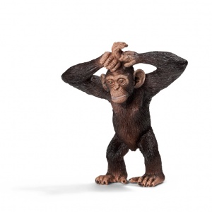 Scimpanzé Cucciolo - Clicca l'immagine per chiudere